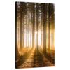 Canvas Print Sun in the Forest Light Tree 70x120 cm