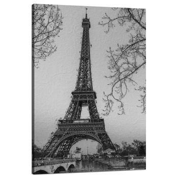 Canvas Print Black and White Eiffel Tower France Retro 80x120 cm