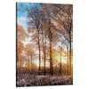 Canvas Print Trees Winter Rising Sun 80x120 cm