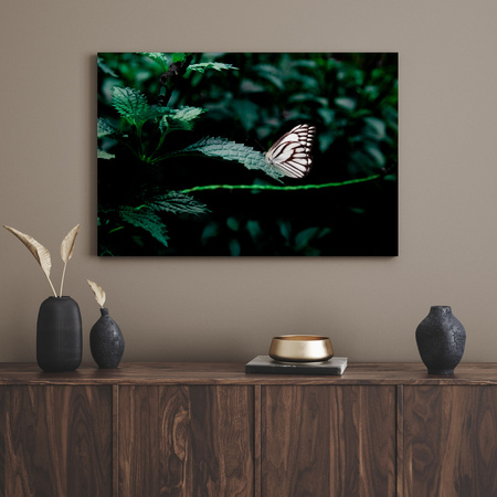 Canvas Print Nature Butterfly 40x30 cm