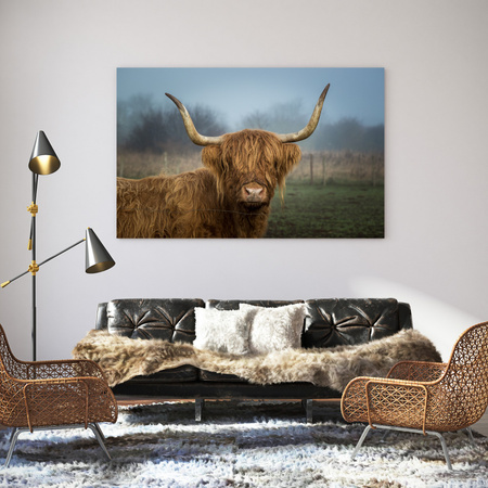 Canvas Print Animals Cow 40x30 cm