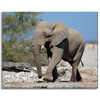 Canvas Print Large Gray Elephant Nature Rocks Sun 100x80 cm