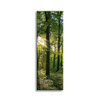 Canvas Print Sun Forest Trees Rays of Light 40x120 cm