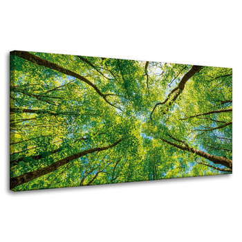 Canvas Print Trees Leaves Nature Forest Spring 80x40 cm