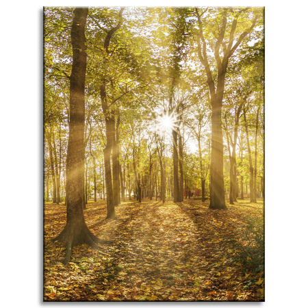 Canvas Print Sun Between Trees in the Forest 30x40 cm