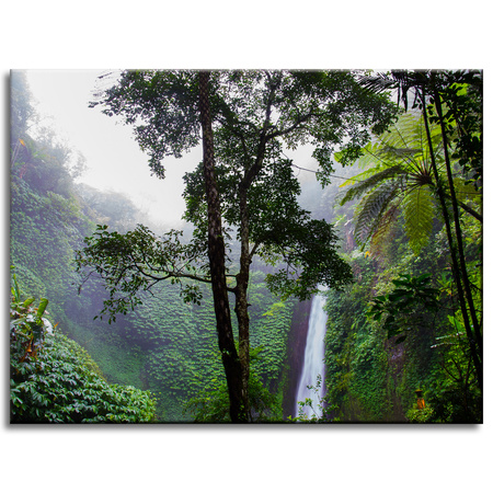 Canvas Print Nature Tropical Forest 40x30 cm