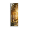 Canvas Print Birch Trees Sun Morning 40x120 cm