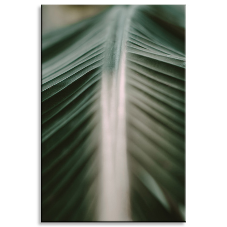 Canvas Print Nature Palm Leaf 80x120