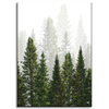 Canvas Print Rain Forest Nature Trees 50x70 cm