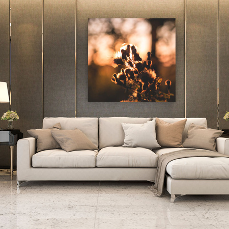 Canvas Print Botany Morning 40x40 cm