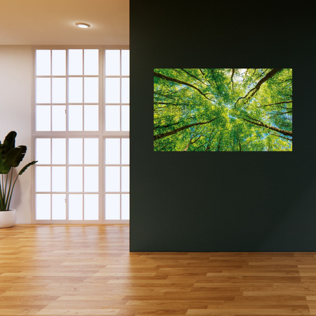 Canvas Print Trees Leaves Nature Forest Spring 120x40 cm
