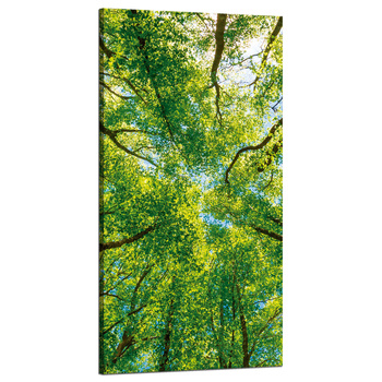 Canvas Print Trees Leaves Nature Forest Spring 60x120 cm