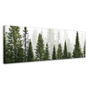 Canvas Print Rain Forest Nature Trees 120x40 cm