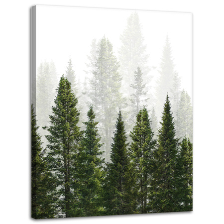 Canvas Print Rain Forest Nature Trees 30x40 cm