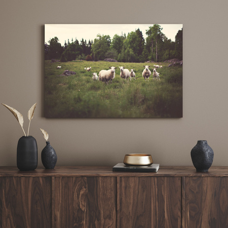 Canvas Print Nature Sheep on Pasture 40x30 cm