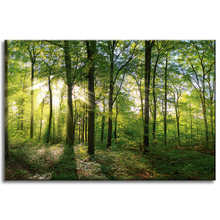 Canvas Print Sun Forest Trees Rays of Light 60x40 cm