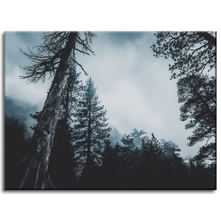 Canvas Print Nature Treetops 40x30 cm