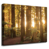 Canvas Print Sun Rays Forest Trees 50x40 cm