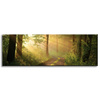 Canvas Print Sunlight Forest Path Nature 120x40 cm