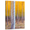 Canvas Print Birch Trees Autumn Yellow Leaves 80x120 cm