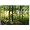 Canvas Print Sun Forest Trees Rays of Light 60x40 cm