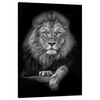Canvas Print Gray Lion Face Pose King 80x120 cm