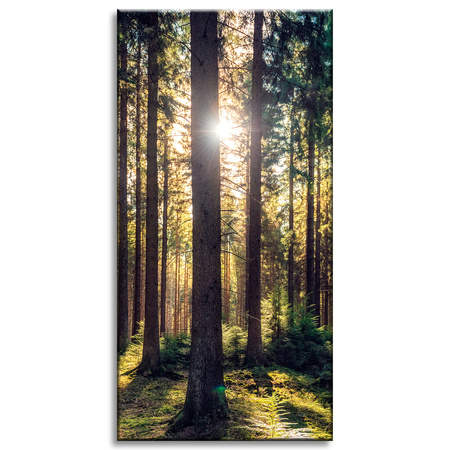 Canvas Print Forest Sun Trees Spring Morning 60x120 cm