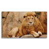 Canvas Print Animal Lying on Rock Nature 100x80 cm