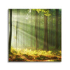 Canvas Print Light in the Forest Nature Trees 90X90 cm