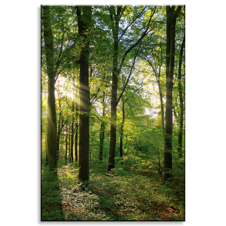 Canvas Print Sun Forest Trees Rays of Light 80x120 cm