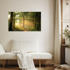 Canvas Print Sunlight Forest Path Nature 60x40 cm