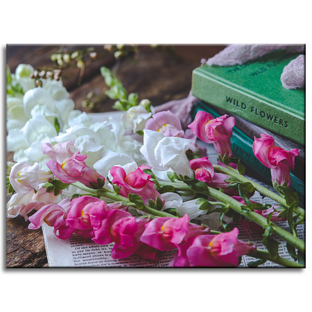 Canvas Print Botany Snapdragons 40x30 cm