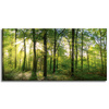 Canvas Print Sun Forest Trees Rays of Light 120x60 cm