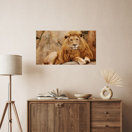 Canvas Print Animal Lying on Rock Nature 100x80 cm