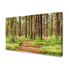 Canvas Print Path in the Forest Trees Nature 120x80 cm