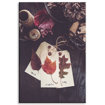 Canvas Print Oak Maple Leaves Retro Vintage 80x120
