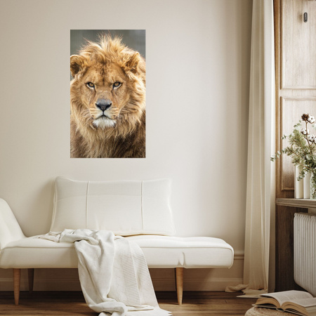 Canvas Print Wild Lion Portrait Mane Animal 80x120 cm