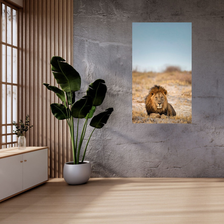 Canvas Print Lion on the Savannah Nature Wildlife 80x120 cm