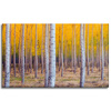 Canvas Print Birch Trees Autumn Yellow Leaves 100x60 cm