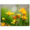 Canvas Print Botanical Yellow Flowers 40x30 cm