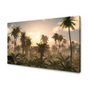 Canvas Print Sunset Palm Trees Nature 120x80 cm