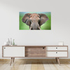 Canvas Print Elephant Face Tusks Gray Animal 100x80 cm