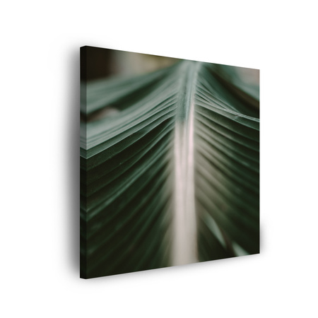 Canvas Print Nature Palm Leaf 90x90