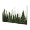 Canvas Print Rain Forest Nature Trees 70x50 cm
