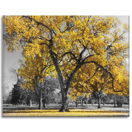 Canvas Print Black Trees Yellow Leaves 100x80 cm