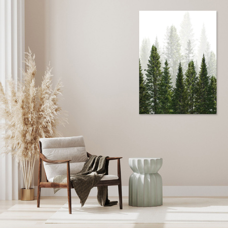 Canvas Print Rain Forest Nature Trees 40x50 cm