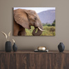 Canvas Print Animals Elephant_2 100x80 cm