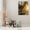 Canvas Print Birch Trees Sun Morning 40x50 cm