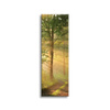 Canvas Print Sunlight Forest Path Nature 40x120 cm