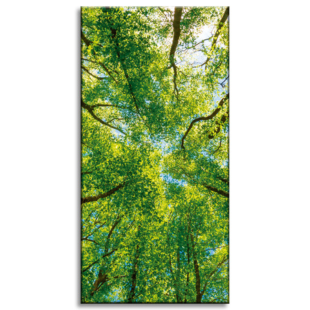 Canvas Print Trees Leaves Nature Forest Spring 40x80 cm